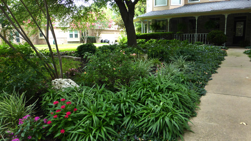 July yard of the month 2020