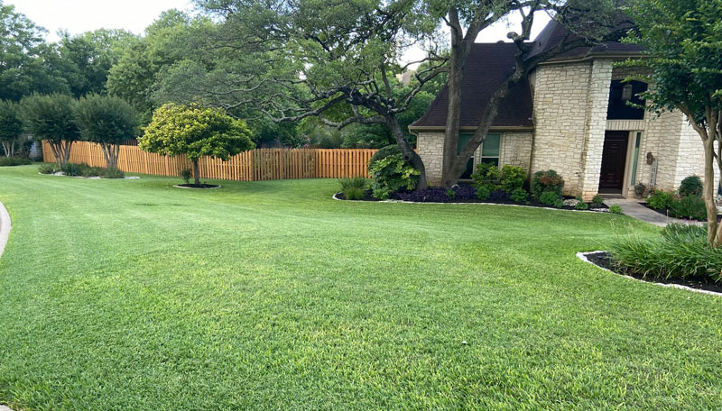 June yard of the month 2020