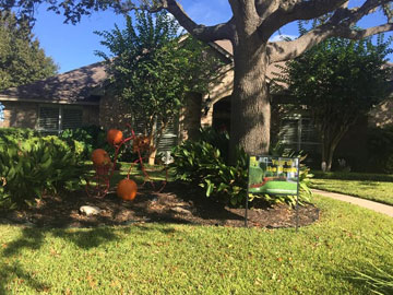 November Yard of the month