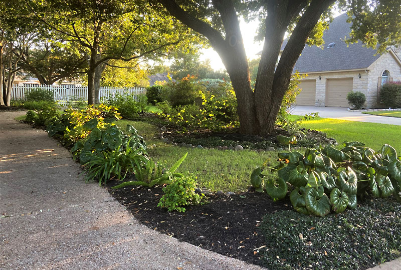 October yard of the month 2020